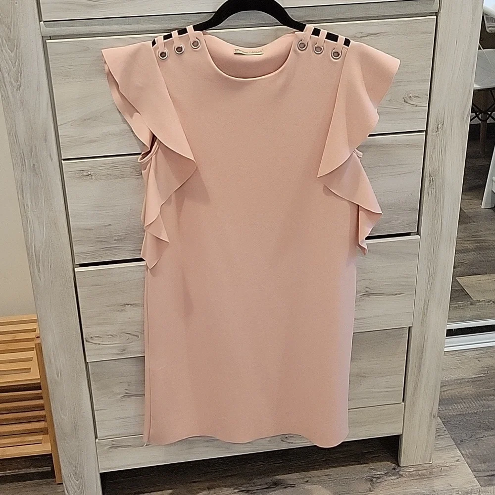 Zara Blush Pink Ruffle Sleeve Mini Dress with Shoulder Details Size S